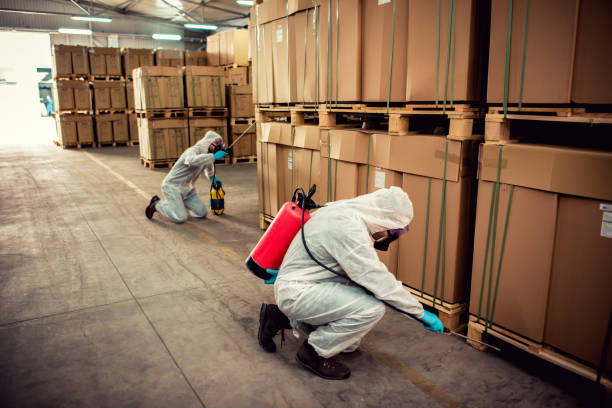 Best Best Pest Control Companies  in Louisville, KY