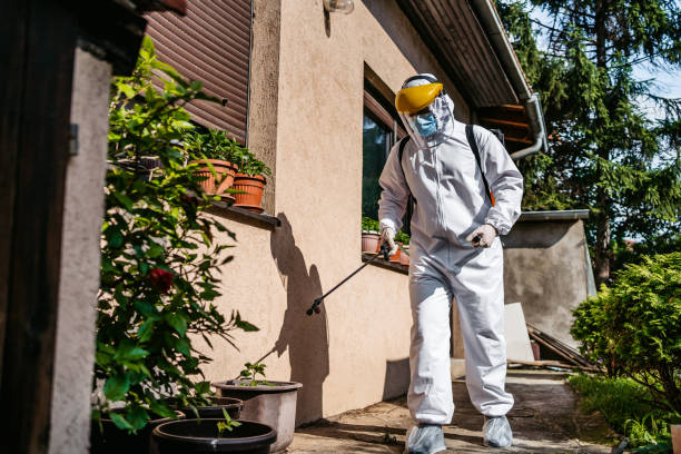 Professional Pest Control in Louisville, KY