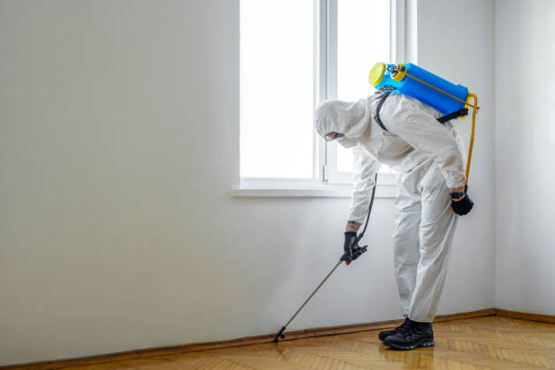 Best Pest Control Near Me in Louisville, KY