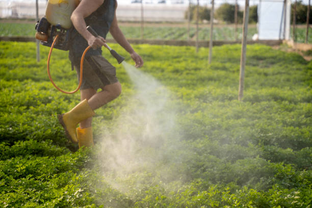 Best Best Pest Control Companies  in Louisville, KY