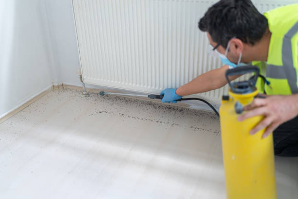 Best Cockroach Control Services  in Louisville, KY