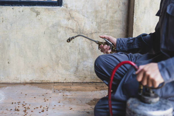 Wasp Removal Services in Louisville, KY
